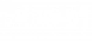 WFB-fotografie WFB-fotografie