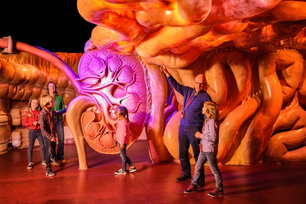 4x tickets voor een dagje uit naar CORPUS 'journey through the human body'!