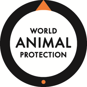 World Animal Protection Loterij voor een beter leven voor ex-showdolfijnen