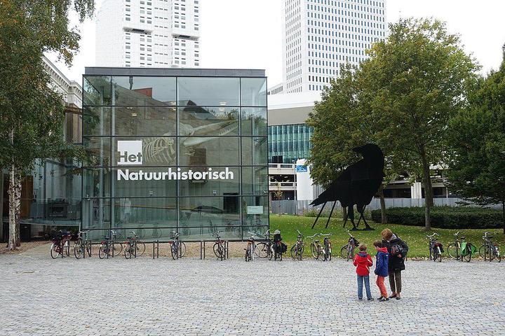 Het Natuurhistorisch Rotterdam 4 toegangskaarten inclusief cadeautas