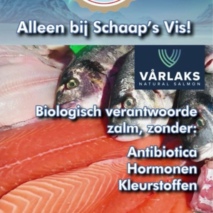 Biologische Varlaks Zalm van Schaap's Vis (450 gram)