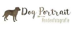 Dog Portrait Hondenfotografie
