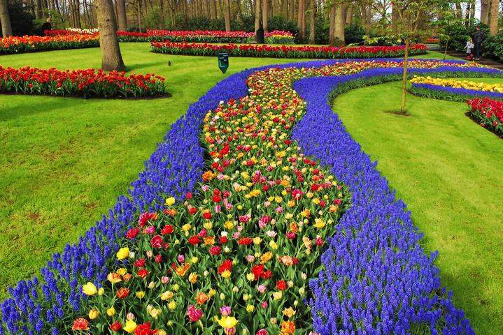 2 toegangskaarten voor de Keukenhof 