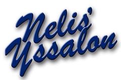 Nelis' IJssalon