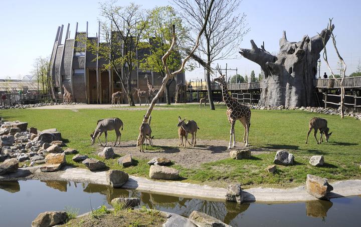 Toegangskaartjes Diergaarde Blijdorp voor twee personen
