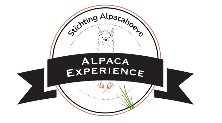 Alpacahoeve wandelen met een alpaca, twee personen