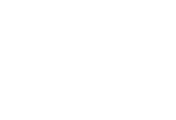 Dutch GP Countdown week